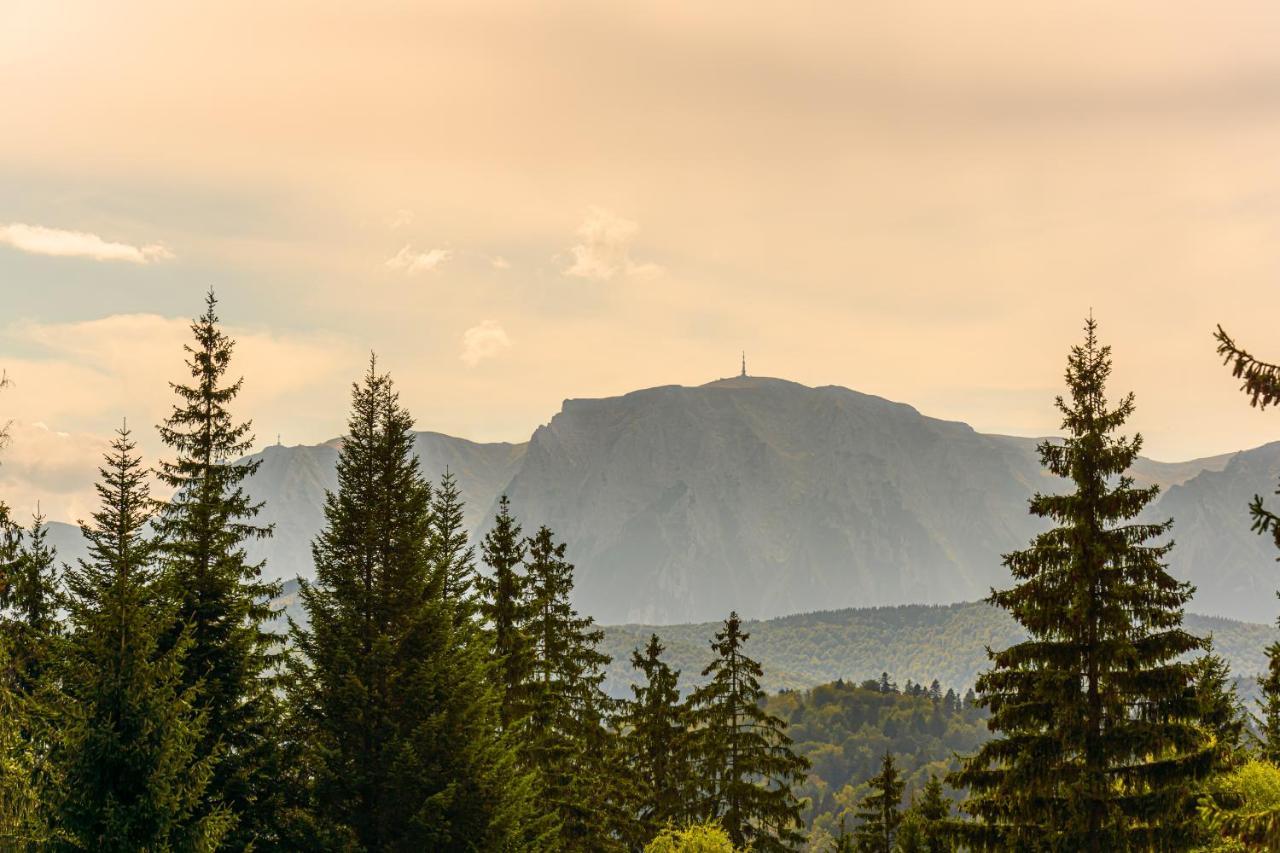 Pensiunea Hilltop Predeal Exteriér fotografie