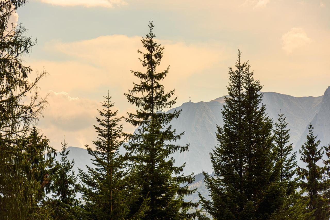 Pensiunea Hilltop Predeal Exteriér fotografie