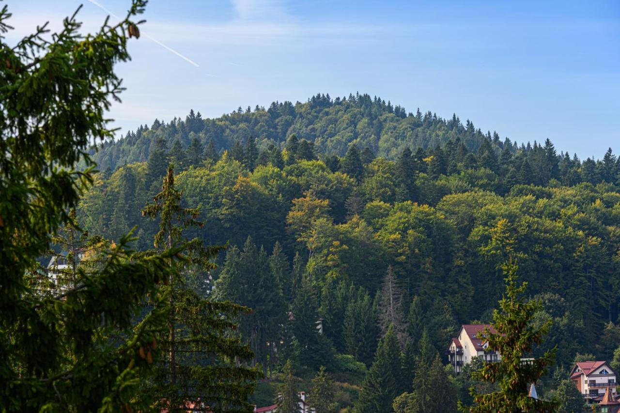 Pensiunea Hilltop Predeal Exteriér fotografie